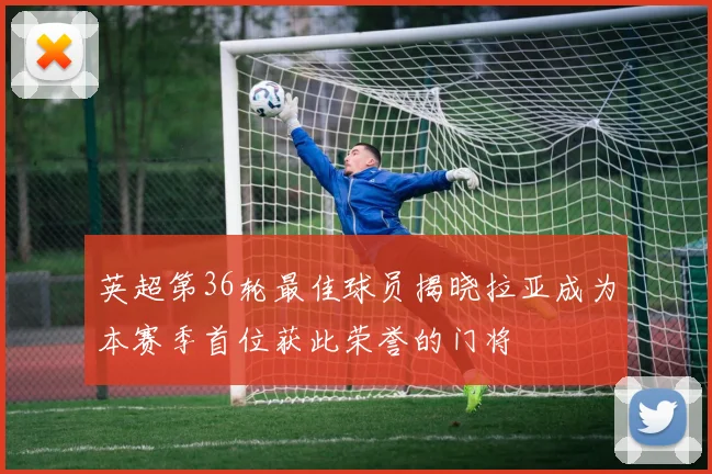 英超第36轮最佳球员揭晓拉亚成为本赛季首位获此荣誉的门将