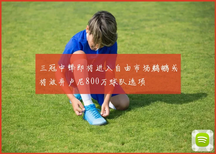 三冠中锋即将进入自由市场鹈鹕或将放弃卢尼800万球队选项