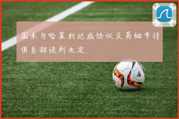 国米与哈莱利达成协议交易细节待俱乐部谈判决定