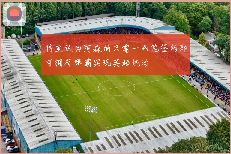 特里认为阿森纳只需一两笔签约即可拥有锋霸实现英超统治